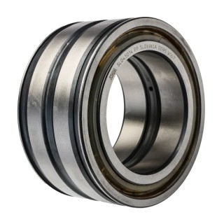 INA 70 mm ID 110 mm OD Sealed Two-Row Cylindrical Roller Bearing SL045014-PP