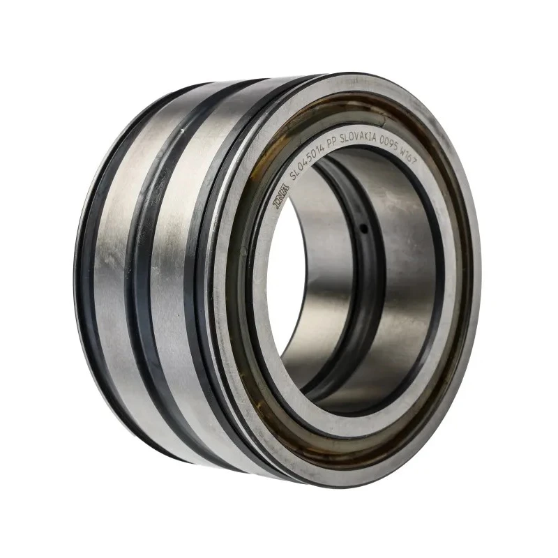 INA 70 mm ID 110 mm OD Sealed Two-Row Cylindrical Roller Bearing SL045014-PP