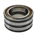 INA 70 mm ID 110 mm OD Sealed Two-Row Cylindrical Roller Bearing SL045014-PP