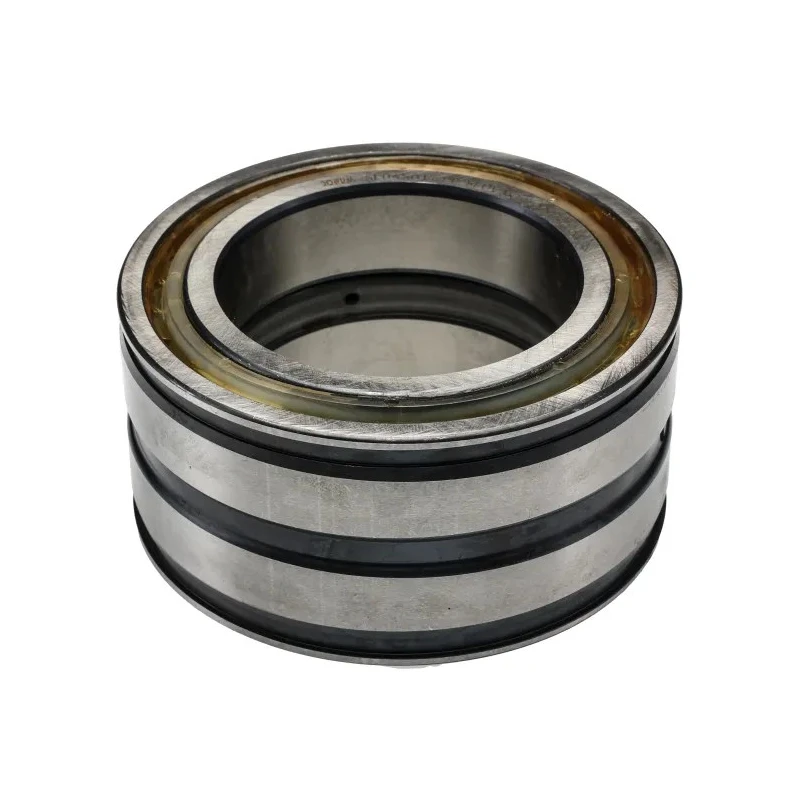 INA 70 mm ID 110 mm OD Sealed Two-Row Cylindrical Roller Bearing SL045014-PP