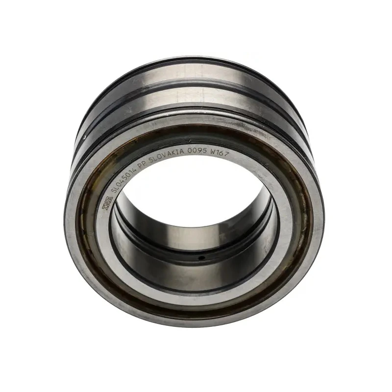INA 70 mm ID 110 mm OD Sealed Two-Row Cylindrical Roller Bearing SL045014-PP
