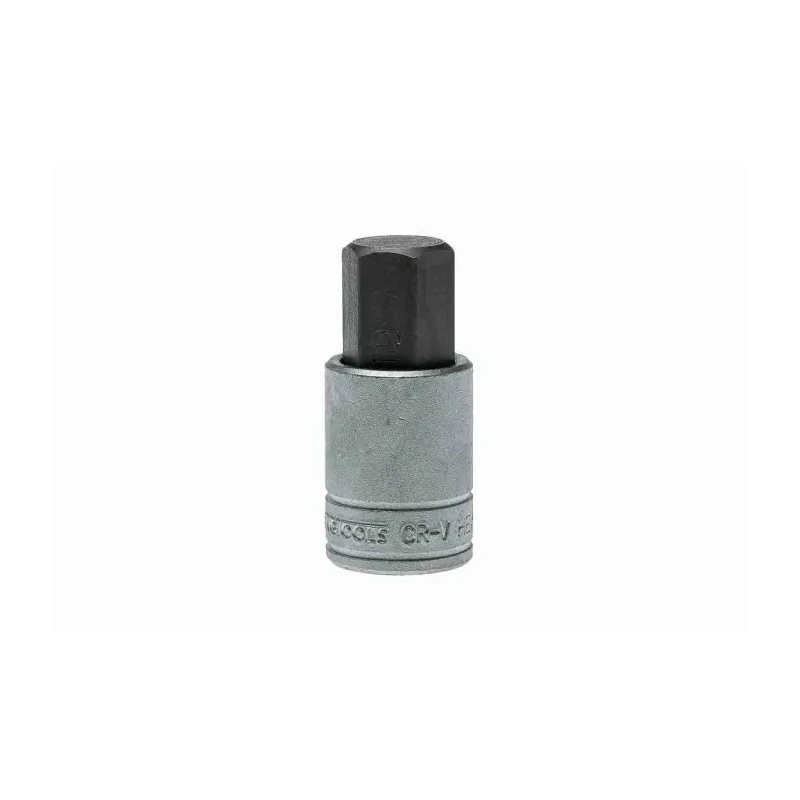 Teng Tools 1/2 in Drive 19 mm Bit Socket Square Drive Alloy Steel Chrome Finish M121519-C