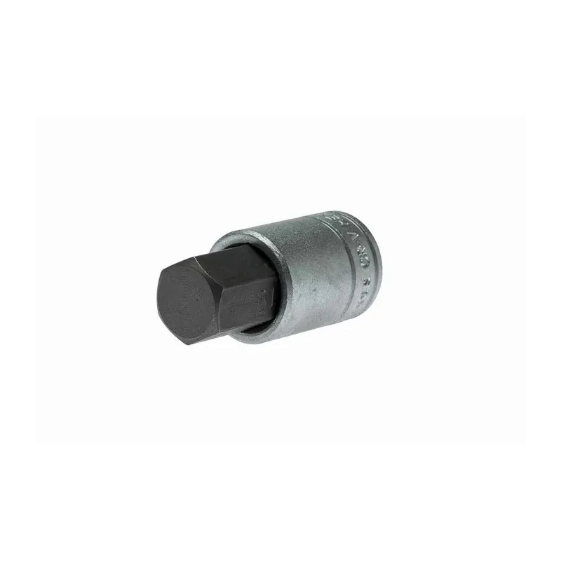 Teng Tools 1/2 in Drive 19 mm Bit Socket Square Drive Alloy Steel Chrome Finish M121519-C