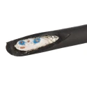 Belden Screened Audio Cable 4 Core, 42x40 CSA, 6.22 mm OD, 30 m Length, Polyethylene Jacket, 100V 1192A B59100