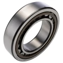 SKF Shielded Single-Row Cylindrical Bore Roller Bearing 75 mm ID, 130 mm OD, 31 mm Width, Non-Metallic Cage NU 2215 ECP