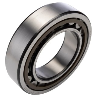 SKF Shielded Single-Row Cylindrical Bore Roller Bearing 75 mm ID, 130 mm OD, 31 mm Width, Non-Metallic Cage NU 2215 ECP