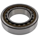 SKF Shielded Single-Row Cylindrical Bore Roller Bearing 75 mm ID, 130 mm OD, 31 mm Width, Non-Metallic Cage NU 2215 ECP