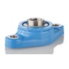 SKF Oval Flanged Stainless Steel Bearing Unit 20 mm Inside Diameter 2 Mount Holes F2BC 20M-TPSS