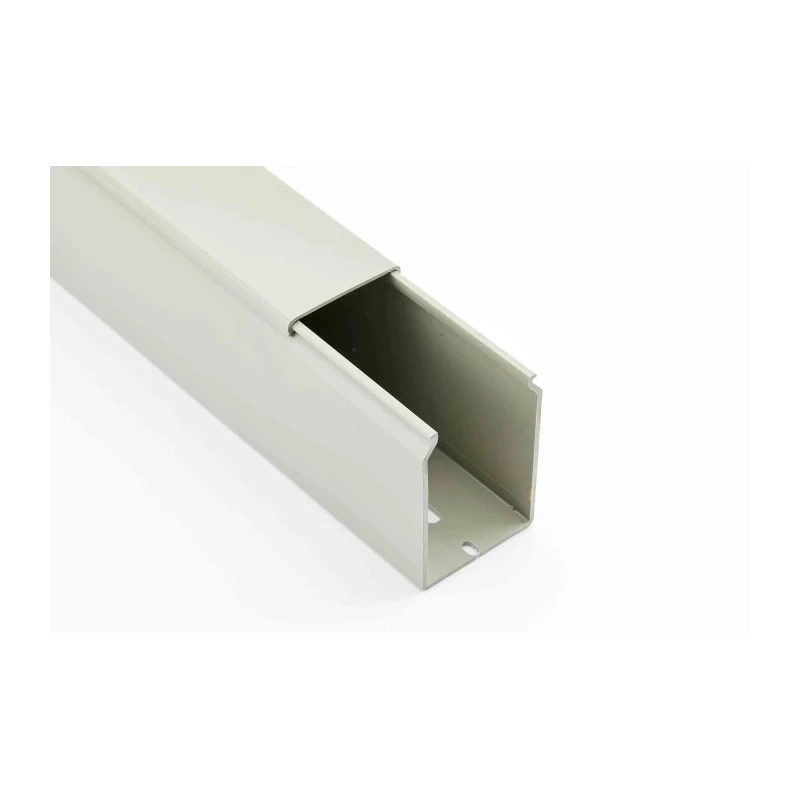 Betaduct Cable Trunking Grey W100mm x D50 mm x L2 m Polyvinyl Chloride 