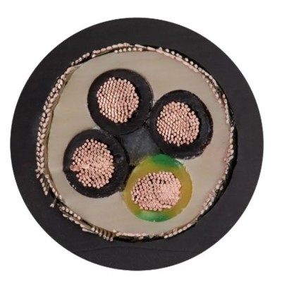 Igus chainflex CF31 Motor Cable, 4 Cores, 6mm² 9 AWG, Screened, 25 m, Black Thermoplastic Elastomer Sheath CF31