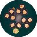 Igus chainflex CF5 Control Cable 12 Cores 1mm² 17 AWG Unscreened Armoured PVC Jacket Green 50m CF5.10.12 (50m)