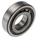 SKF High-Performance NUP 206 ECP/C3 Cylindrical Roller Bearing 30 mm ID, 62 mm OD, 16 mm Width, Open Type NUP 206 ECP/C3