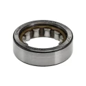 SKF Roller Bearing Cylindrical Single Row Non-Metallic Cage 22.9 mm ID, 40 mm OD RNU 203 TN9