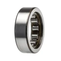 SKF Roller Bearing Cylindrical Single Row Non-Metallic Cage 22.9 mm ID, 40 mm OD RNU 203 TN9