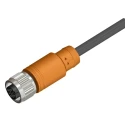 RS PRO Female 4 Way Straight to Unterminated Free End Sensor Actuator Cable, 5 m 212-1717