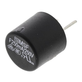 Schurter Non-Resettable Radial Fuse 250mA Current Rating 250V AC, Fast Acting, Thermoplastic Body 0034.6008