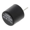 Schurter Non-Resettable Radial Fuse 250mA Current Rating 250V AC, Fast Acting, Thermoplastic Body 0034.6008