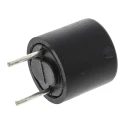 Schurter Non-Resettable Radial Fuse 250mA Current Rating 250V AC, Fast Acting, Thermoplastic Body 0034.6008