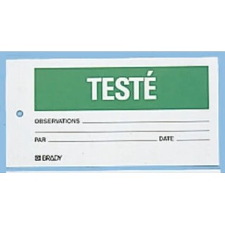 Brady Pre-Printed 148 x 75 mm Durable Polypropylene Tie-Fixing Labels Pack of 10 TAG-F-TESTE-75X150MM