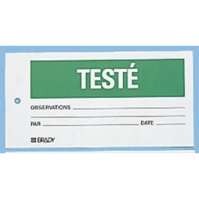 Brady Pre-Printed 148 x 75 mm Durable Polypropylene Tie-Fixing Labels Pack of 10 TAG-F-TESTE-75X150MM