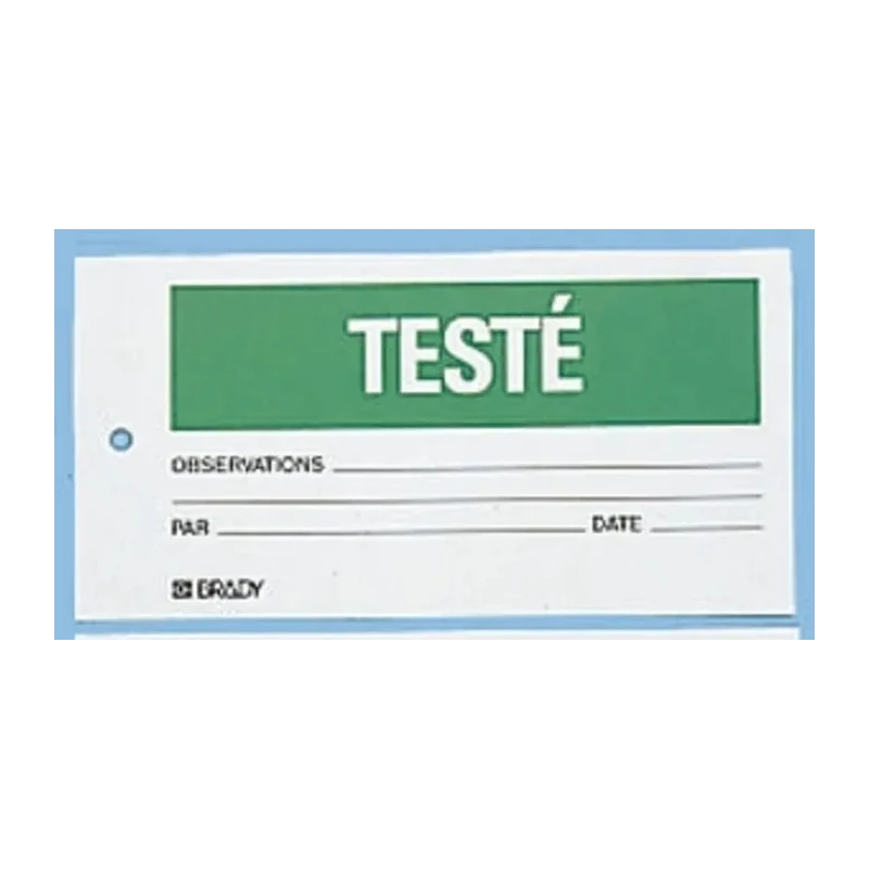 Brady Pre-Printed 148 x 75 mm Durable Polypropylene Tie-Fixing Labels Pack of 10 TAG-F-TESTE-75X150MM