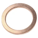 Legris Copper Washers, 17.9 mm Outside Diameter, Corrosion-Resistant Sealing Washers 0138 13 00
