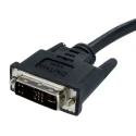 StarTech.com Male DVI-A, VGA to Male Cable 2 m Black Polyvinyl Chloride DVIVGAMM2M