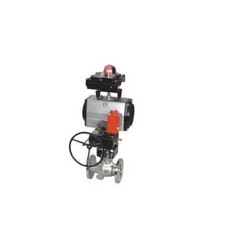 rotex-ball-valve-with-pneumatic-actuator-53352