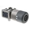 Mini Motor AC Geared Motor 3 Phase 230V, 400V, 49W, 24-Pole, 40:1 Worm Gearhead MC 244PT 40 B3
