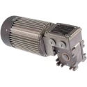 Mini Motor AC Worm Gear Geared Motor 180 W 3 Phase 24-Pole 230V, 400 V MC 440P3T 15 B3
