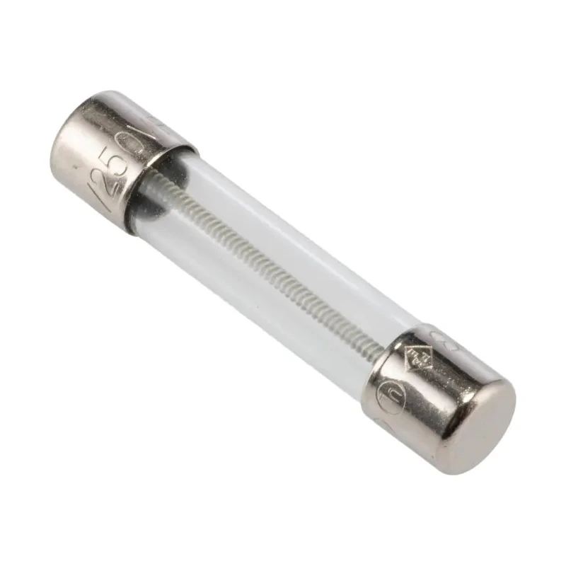 Littelfuse 2A Time Delay Glass Cartridge Fuse 6.3 x 32 mm 250V AC 0313002.MXP