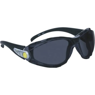 Delta Plus Safety Glasses with Anti-Mist and Scratch Resistant Smoked Polycarbonate Lens Nylon Frame PACAYLVFU