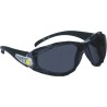 Delta Plus Safety Glasses with Anti-Mist and Scratch Resistant Smoked Polycarbonate Lens Nylon Frame PACAYLVFU