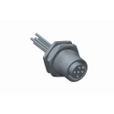 Amphenol Industrial Female 17 Way M12 to Female Unterminated Sensor Actuator Cable, 200 mm MSAS-17PFFC-SF8B20