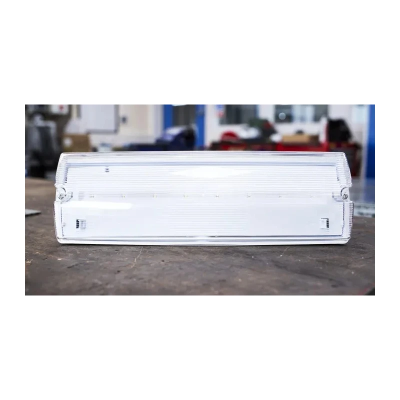 RS PRO LED Emergency Lighting Bulkhead Maintained 3W 230V IP65 350x117x76mm 795-9378