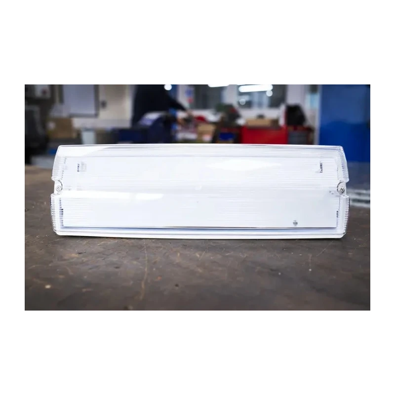 RS PRO LED Emergency Lighting Bulkhead Maintained 3W 230V IP65 350x117x76mm 795-9378