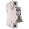 Europa Miniature Circuit Breaker 1-Pole, 32A, Type C, 400V AC, 10 kA Breaking Capacity EUC1P