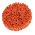Norton Ceramic Abrasive Disc Stripping Disc 50.8 mm Coarse Grade 66623303912