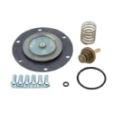 Norgren Service Kit for Pressure Regulators, Balanced Valve, For G1/2 to G1 Ports, 20AG Series 20AG-X4-100