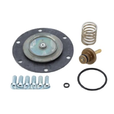 Norgren Service Kit for Pressure Regulators, Balanced Valve, For G1/2 to G1 Ports, 20AG Series 20AG-X4-100