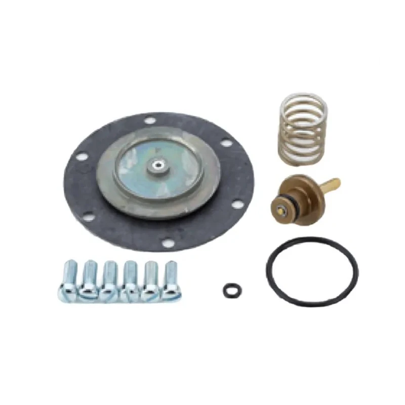 Norgren Service Kit for Pressure Regulators, Balanced Valve, For G1/2 to G1 Ports, 20AG Series 20AG-X4-100
