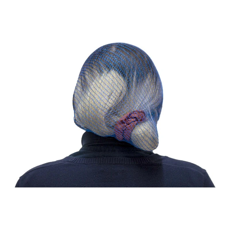 Hairtite Disposable Blue Polypropylene Hair Net 550 mm, 100 Per Pack WWE00/C51SB