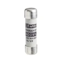 Schneider Electric 10A Cartridge Fuse, 10 x 38 mm, 500V, Series TeSyS DF, LS1/GK1 DF2CN10