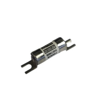 RS PRO 25A Slotted Tag Fuse A1 415 V AC, 250 V DC, 44.5 mm 221-3694