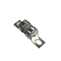 RS PRO 20A Bolted Tag Fuse 240 V ac, 120 V dc, 41.8 mm 221-3637