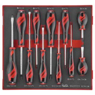 Teng Tools Standard Screwdriver Set, 11-Piece with TT-MV PLUS Steel Blades, Ergonomic Two-Component Handles TED911N