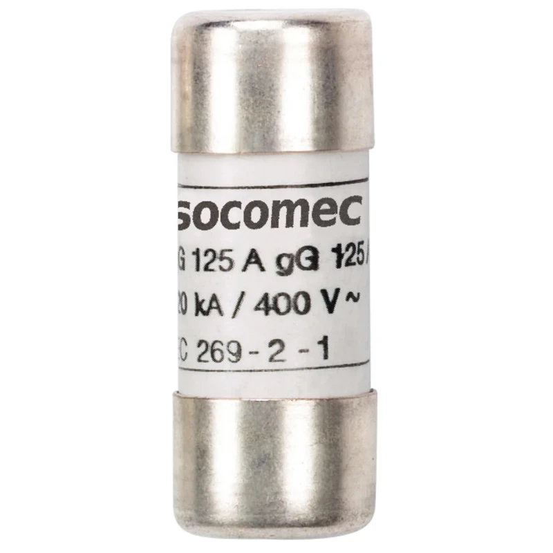 Socomec 100A F Cartridge Fuse 690V Industrial gG aM 22 x 58 mm 60620100