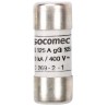 Socomec 100A F Cartridge Fuse 690V Industrial gG aM 22 x 58 mm 60620100