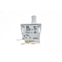 ZF Plunger Micro Switch, Solder Terminal, 10A, SPDT, Thermoplastic Polyester Housing, Model F69-65A