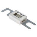 Littelfuse 100A White Grey Ceramic Fast Acting Car Fuse 80V dc 157.5701.6101